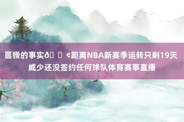 嚚猾的事实😢距离NBA新赛季运转只剩19天 威少还没签约任何球队体育赛事直播