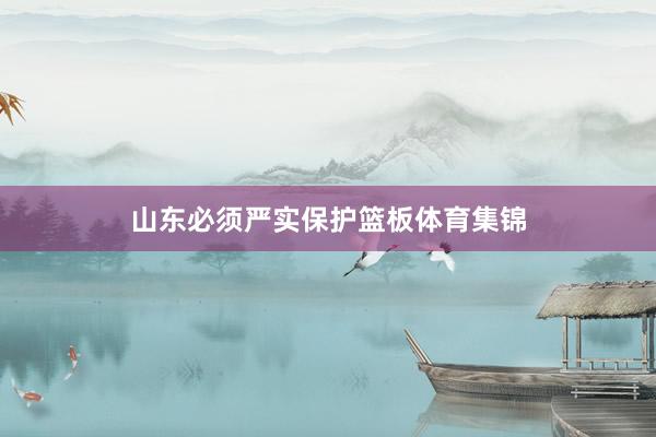 山东必须严实保护篮板体育集锦
