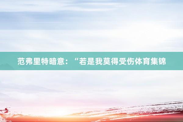 范弗里特暗意：“若是我莫得受伤体育集锦