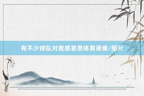有不少球队对我感意思体育录像/图片