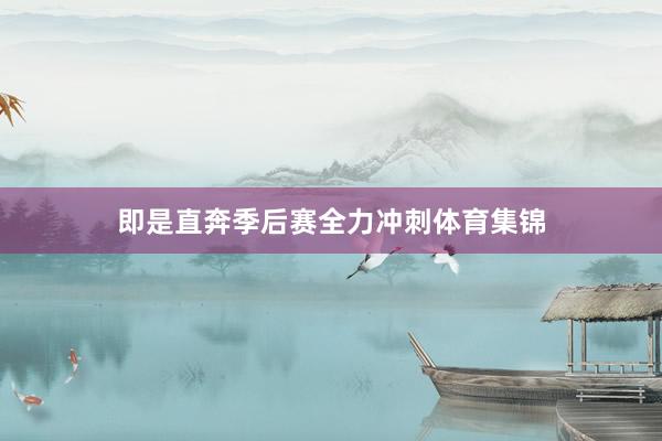 即是直奔季后赛全力冲刺体育集锦