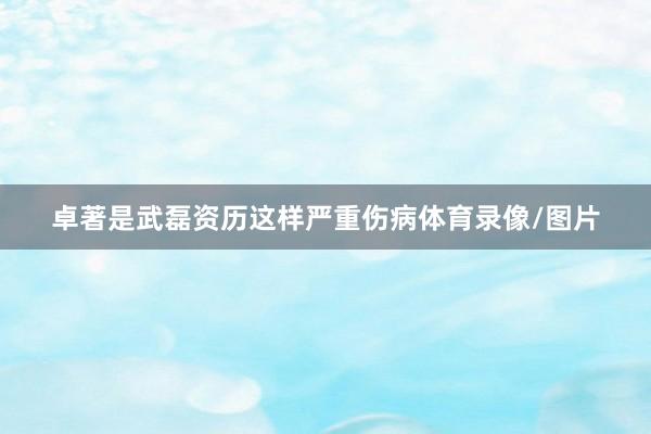 卓著是武磊资历这样严重伤病体育录像/图片
