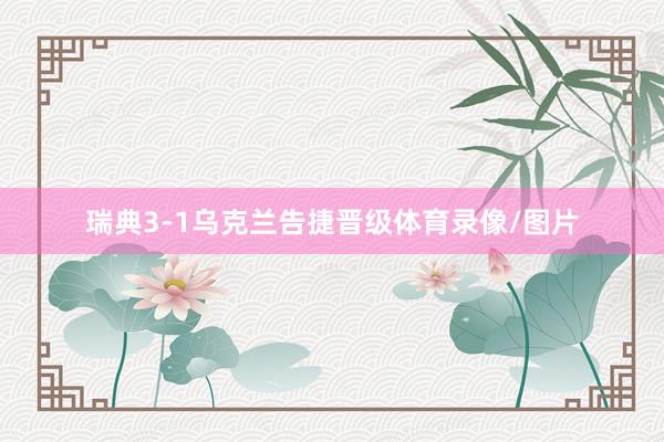 瑞典3-1乌克兰告捷晋级体育录像/图片