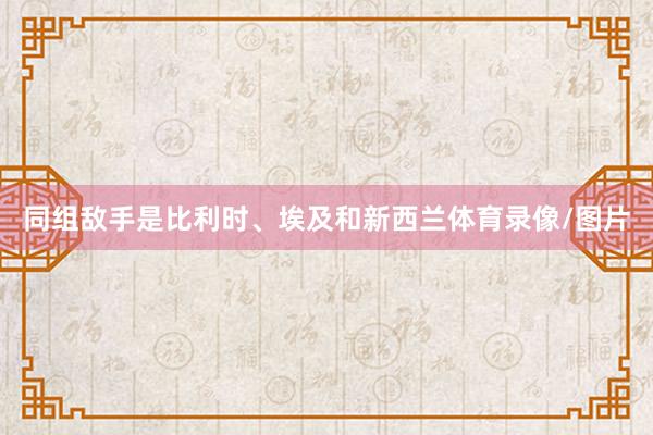 同组敌手是比利时、埃及和新西兰体育录像/图片