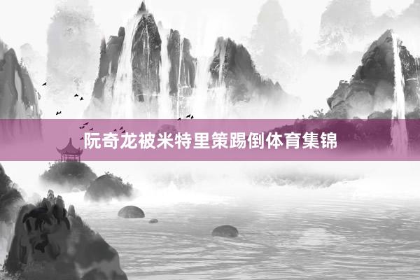 阮奇龙被米特里策踢倒体育集锦