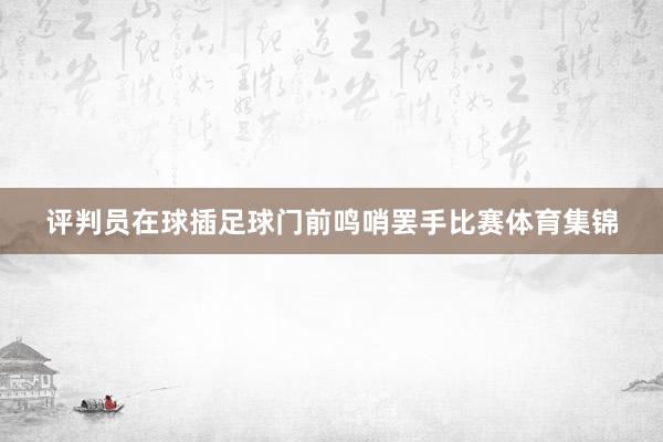 评判员在球插足球门前鸣哨罢手比赛体育集锦
