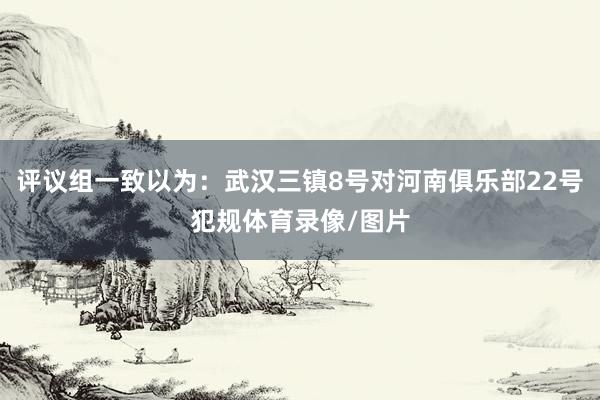 评议组一致以为：武汉三镇8号对河南俱乐部22号犯规体育录像/图片