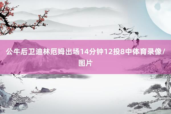 公牛后卫迪林厄姆出场14分钟12投8中体育录像/图片