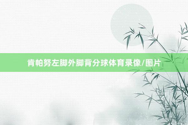 肯帕努左脚外脚背分球体育录像/图片
