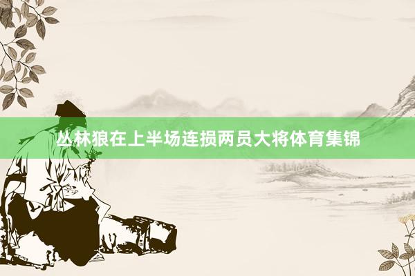 丛林狼在上半场连损两员大将体育集锦