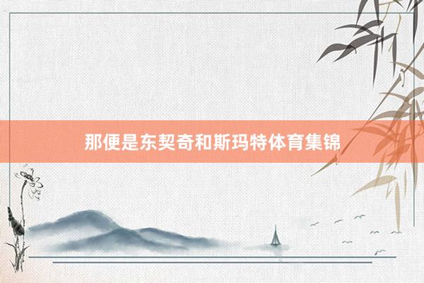 那便是东契奇和斯玛特体育集锦