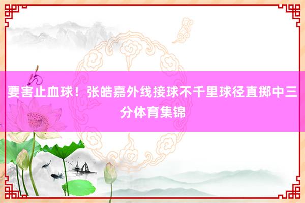 要害止血球！张皓嘉外线接球不千里球径直掷中三分体育集锦