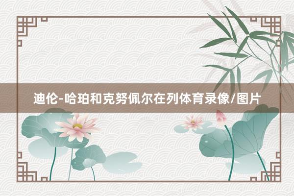 迪伦-哈珀和克努佩尔在列体育录像/图片