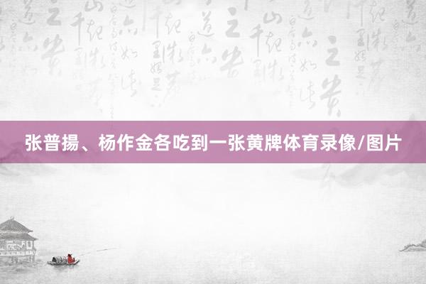 张普揚、杨作金各吃到一张黄牌体育录像/图片