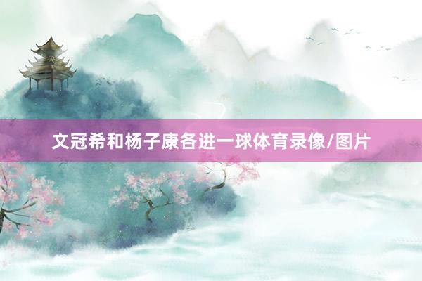 文冠希和杨子康各进一球体育录像/图片