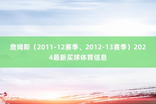 詹姆斯（2011-12赛季、2012-13赛季）2024最新