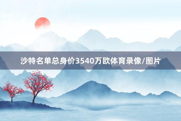 沙特名单总身价3540万欧体育录像/图片