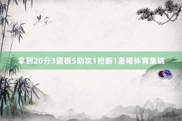 拿到20分3篮板5助攻1抢断1盖帽体育集锦